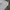 Nike Sportswear Futurist Sweatpants & Joggers Pria multicolor gray photo 1