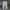 Nike Sportswear Futurist Sweatpants & Joggers Pria multicolor gray photo 3