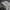 Nike Sportswear Futurist Sweatpants & Joggers Pria multicolor gray photo 4