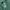 Giordano Casual Polo shirt Pria green photo 4