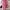 Coquette Casual Casual dress Wanita white red photo 2