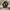 Adidas Vintage Streetwear Sneakers Wanita white black photo 1