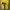 Casual Sandals & slide Pria yellow photo 1