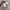 Adidas Vintage Casual Casual shoe Pria white photo 6