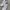 Adidas Vintage Casual Casual shoe Pria white photo 4