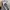 Adidas Vintage Casual Casual shoe Pria white photo 8