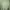 Casual Cardigan Wanita green photo 1