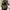 Burberry Vintage Messenger bags & Satchel Wanita tan brown photo 4