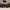 Burberry Vintage Messenger bags & Satchel Wanita tan brown photo 3