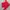 Adidas Avant Garde Sportswear Bomber jacket Pria red photo 3