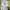 Abercrombie & Fitch Vintage Sweater Pria white photo 1