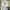 Abercrombie & Fitch Vintage Sweater Pria White