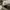 Nike Streetwear Sportswear Sneakers Wanita white photo 7