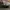 Nike Streetwear Sportswear Sneakers Wanita white photo 6