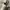 Nike Streetwear Sportswear Sneakers Wanita white photo 4