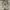 Nike Streetwear Sportswear Sneakers Wanita white photo 2