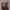 Guess Coquette Minimalist Heels Wanita burgundy photo 2
