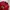 Nike Vintage Sportswear Jersey Pria red photo 2