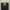 Luxury Bucket bag Wanita black photo 2