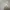 TATE Vintage Casual Harrington jacket Pria white photo 2