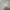 TATE Vintage Casual Harrington Jacket Pria White