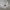 TATE Vintage Casual Harrington jacket Pria white photo 4