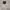 TATE Vintage Casual Harrington jacket Pria white photo 5