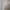 TATE Vintage Casual Harrington jacket Pria white photo 3