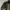 Timberland Vintage Casual Harrington jacket Pria green photo 4