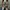 Christian Siriano Y2K Minimalist Heels Wanita gray photo 1