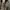 Christian Siriano Y2K Minimalist Heels Wanita gray photo 2