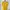 Yohji Yamamoto Casual T-shirt Wanita yellow photo 1