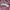 ZARA Luxury Minimalist Midi dress Wanita pink photo 5