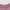 ZARA Luxury Minimalist Midi dress Wanita pink photo 3