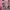 Batik Baju muslim Wanita pink photo 2