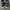 VANS Grunge Skater Sneakers Pria black photo 3