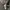 Sportswear Casual Windbreaker Pria multicolor black photo 7