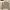 Grunge Indie Crop top Wanita tan gray photo 1