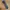 Luxury Cottagecore Pria multicolor photo 1