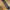 Luxury Cottagecore Pria multicolor photo 2