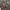 Luxury Cottagecore Pria multicolor photo 3