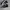 Converse Biker Casual Sneakers Pria white black photo 1