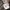 Converse Biker Casual Sneakers Pria multicolor photo 5