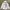 Y2K Emo Hoody Pria white black photo 1