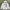 Y2K Emo Hoody Pria White Black