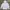 Y2K Emo Hoody Pria white black photo 2