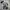 Vintage Y2K T-shirt Pria white black photo 1