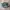 Adidas Indie Casual Sneakers Wanita green photo 1