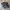 Salomon Gorpcore Casual Sneakers Wanita white black photo 1