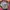 Uniqlo Streetwear Skater Bomber jacket Kids multicolor photo 7